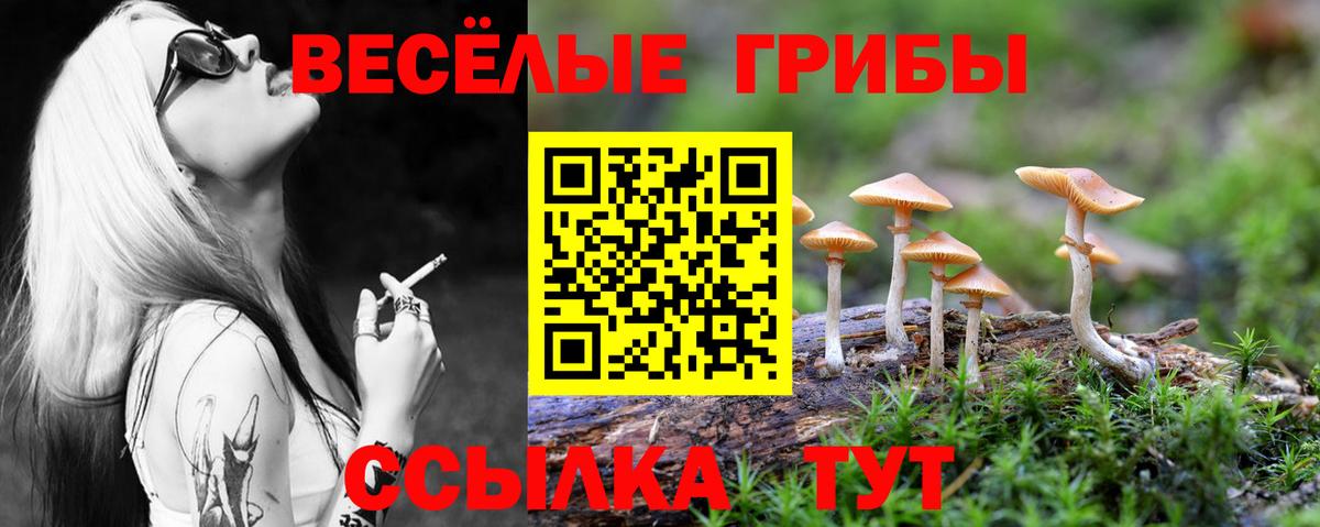 Галлюциногенные грибы Cubensis  Псилоцибиновые грибы мухоморы  Каменск-Шахтинский  Вход с VPN 